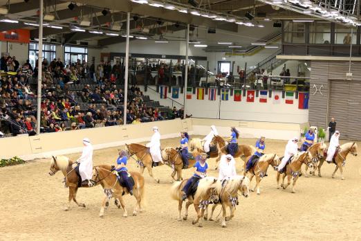 Foto: Bei der Hengstschau des Ponyverbandes Hannover in Verden präsentierten im Vorjahr die Haflinger anspruchsvolle Themen-Quadrillen. - Fotograf: Ponyverband Hannover/ Pantel
