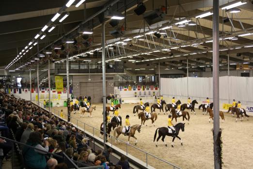 Fotograf: Ponyverband Hannover/ Pantel