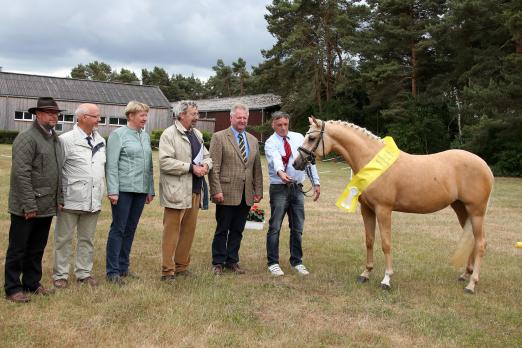 Foto: Siegerstute bei den Deutschen Reitponys im Ponyverband Hannover 2015: Reitlands Jade v. Socrates-Anjershof Rocky (Züchter und Besitzer: Lenert Busch, Stadland). V.l.: Bernd Wegner (BV Hannover), Rolf Deecke (Rassevertreter), Sabine Kassebaum (BV Lüneburg), Klaus-Dieter Dahme (BV Südhannover/ Braunschweig und 2. Vorsitzender Ponyverband), Joachim Glienke (BV Stade) und Lenert Busch (Züchter) - Fotograf: Ponyverband Hannover/ Pantel