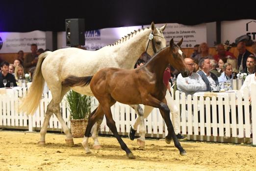 Foto: Die Preisspitze in Warendorf: Unique Kiss Way v. United Touch-Uriko - Fotograf: Janne Bugtrup