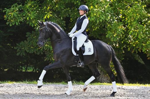 Foto: 01. Rendezvous - Bordeaux x Galaxie x Vivaldi