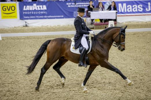 Foto: Reitmeister Hubertus Schmidt wird in Dortmund in der Grand Prix Special Tour an den Start gehen - Fotograf: Stefan Lafrentz 