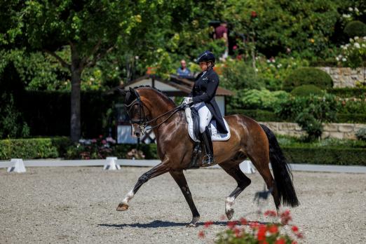 Foto: Dorothee Schneider (GER) und Faustus gewinnen mit 75,553% Grand Prix Special beim Schafhofs Dressurfestival - Fotograf: Sportfotos-Lafrentz.de