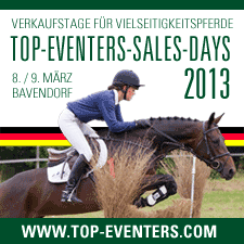 TOP-EVENTERS-SALES-DAY 2013