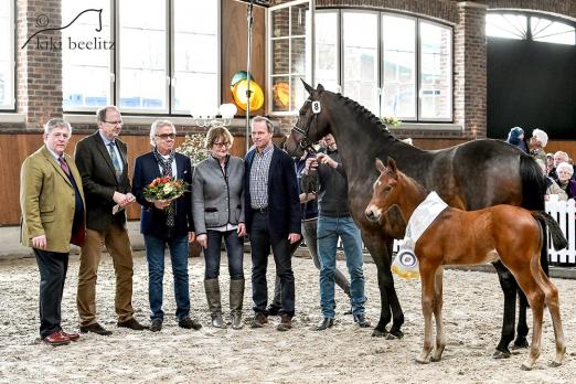 Foto: Fohlenchampion springbetont 2016 von Casino Grande - Stalypso - Caprilli - Fotograf: Beelitz