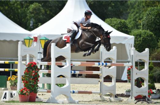 Foto: Jörne Sprehe im Sattel ihres Stakkato Gold-Youngsters "Solero 79" im Ostarichi Championat von Wiener Neustadt - Fotograf: Sibil Slejko