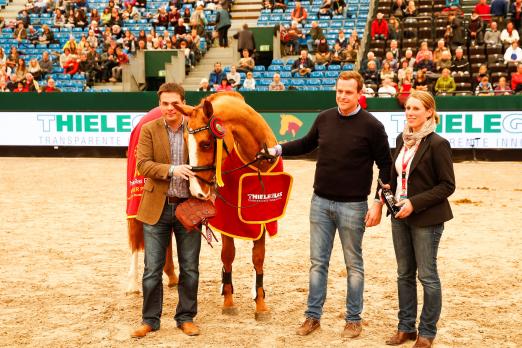 Foto: Starlights Last Hope hieß die Siegerin im PARTNER PFERD Freispring-Cup 2016 - Fotograf: Hellmann