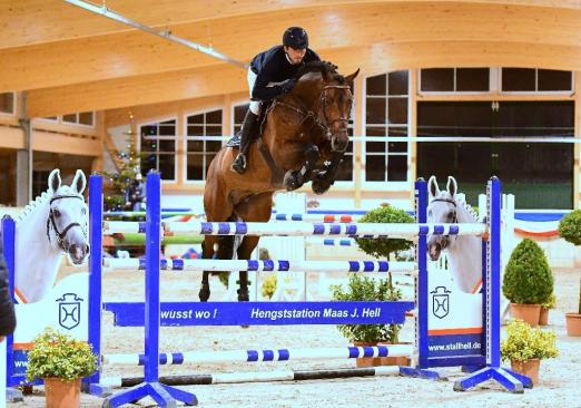 Foto: Takashi Haase präsentierte den Landeschampion der sieben Jahre alten Holsteiner Hengste, Diego de Semilly in Klein Offenseth - Fotgraf: Janne Bugtrup