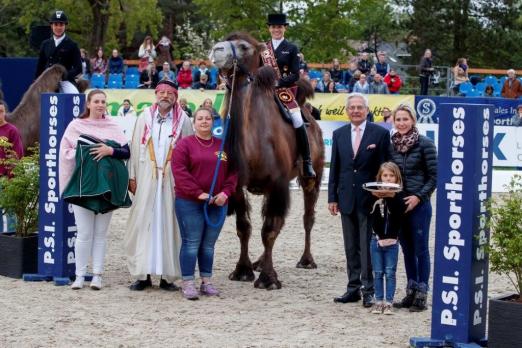 Foto: Siegerehrung auf Kamelen: Kristina Bröring-Spreher wird von Predro Cebulka, Dr. Dietrich Plewa, Emma und Diana Kasselmann zum Sieg in der CDI4* Grand Prix Kür, Preis der Nordpack GmbH gratuliert - Fotograf: Stefan Lafrentz 