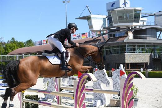 Foto: Tolle Bedingungen für Nachwuchspferde bei Tops International Arena - Fotograf: TIA