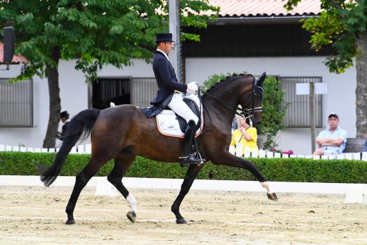 Foto: Thomas Wagner gewinnt mit QC Filipo Niro die Qualifikation zum Nürnberger Burg-Pokal in Neu-Ansbach - Fotograf: Maximilian Schreiner