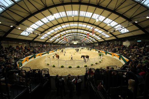 Foto: Vier Tage sind die Holstenhallen in Neumünster Bühne für Trakehner Hengste, Stuten, Fohlen und Reitpferde - Fotograf: Stefan Lafrentz