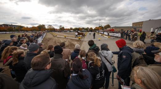 Foto: In 2 Wochen beginnt der Trakehner Hengstmarkt in Neumünster. Am 20. Oktober wird das neue Supplement zum Trakehner Stutbuch Band VI präsentiert - Fotograf: Stefan Lafrentz