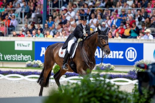 Foto: TSF Dalera BB v. Easy Game-Handryk wird zum zweiten Mal mit der Auszeichnung „Trakehner des Jahres" geehrt - Fotograf: Stefan Lafrentz)