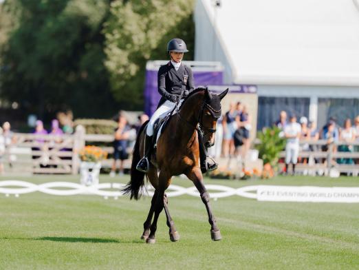 Foto: Julia Krajewski und Nickel führen vor der morgigen Geländeprüfung die Einzelwertung an - Fotograf: ALRV/Camille Peter - MovingMemories Foto: Julia Krajewski und Nickel führen vor der morgigen Geländeprüfung die Einzelwertung an - Fotograf: ALRV/Camille Peter - MovingMemories