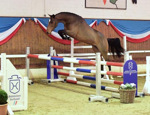 Foto: Katalognummer 5, Copacabana v. Casall-Diarado, war Bietern aus Ungarn 58.500 Euro wert - Fotograf: Janne Bugtrup