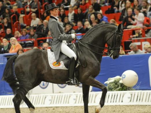 Foto: Anky van Grunsven steht vor ihrer siebten Olympischen Spielen. - Fotograf: Henrik Montgomery - dpa