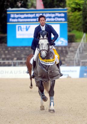 Foto: Derbysieger Pato Muente stellte bei Verden International den Hannoveraner Springpferdechampion 2017 vor, den fünf Jahre alten Hengst Gunfire PJ - Fotograf: Rüchel