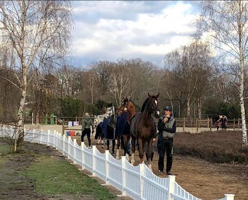 Foto: Schlangestehen für den Vet-Check - die internationale Luhmühlen Spring Tour nimmt "Fahrt auf" - Fotograf: H. Wahlers
