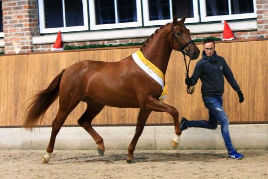 Foto: Vivaldos by Van Vivaldi x Desperados - Fotograf: Hahn