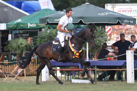 Foto: Der amtierende Trakehner Geländepferdechampion, der gekörte KROS v. Ajbek, ist unter seinem Besitzer Jens Hoffrogge bereits erfolgreich im schweren Parcours - Fotograf: Stephan Bischoff