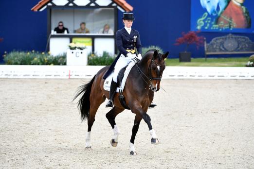 Foto: Einst bei der Herbstauktion auf dem Klosterhof erworben und jetzt im Grand Prix-Sport angekommen - Fats Domino mit Fabienne Müller-Lütkemeier - Fotograf: Archiv Klosterhof