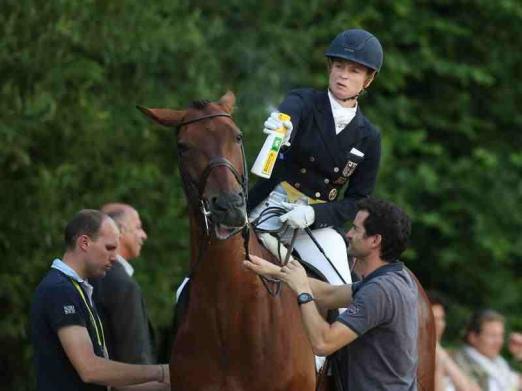 Foto: Isabell Werth kühlt nach dem Auftritt Don Johnson ab - Fotograf: Rolf Vennenbernd - dpa