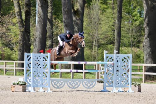Foto: Harrie Wiering unschlagbar im GP von Riesenbeck CSI** - Fotograf: RI 