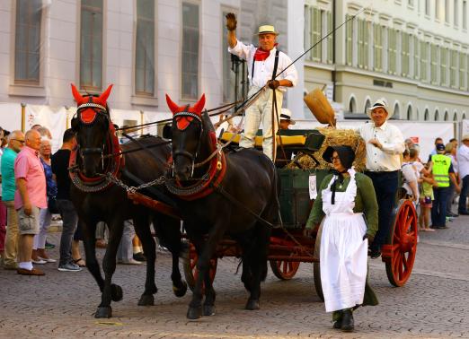 Foto: Traditioneller Startschuss für das LONGINES PfingstTurnier Wiesbaden. Der Kutschenkorso - Fotograf: Stefan Kellerwessel