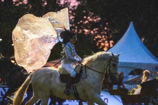 Foto: Die 27. Wiesbadener PferdeNacht im Biebricher Schlosspark – zum Auftakt statt Sonntag schon am Freitagabend! - Fotograf: tomsPic