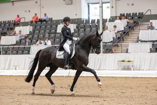 Foto: Die Niedersachsen-Halle war bereits im August Standort für Dressur pur - hier Isabell Freese mit Top Gear - Im Dezember sollen an gleicher Stelle die Weltmeisterschaften der Jungen Dressurpferde stattfinden - Fotograf: J. Fellner