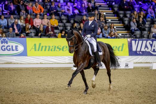 Foto: Zukunftshoffnung: Quantum Vis MW gewann mit Dorothee Schneider die Qualifikation zum Louisdor-Preis-Finale - Halbbruder Mister-C wurde Zweiter - Fotograf: Stefan Lafrentz