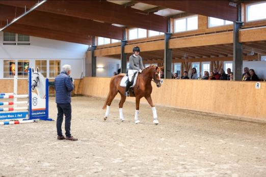 Foto: Zucht, Sport, Ausbildung - unter diesem Motto diskutierte und präsentierte der langjährige Leiter der FN-Abteilung Ausbildung, Christoph Hess, in der Hengststation Maas J. Hell im Rahmen eines PM-Seminars - Fotograf: Aenne Müller