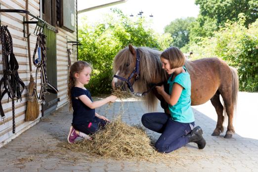 Foto: Die Zukunft von Kinderreitschulbetrieben fest im Blick haben "Pferde für unsere Kinder" und HIPPOLINI beim ersten Symposium zu diesem Theam bei der PARTNER PFERD, Freitag, den 19. Januar 2024 - Fotograf: Pferde für unsre Kinder