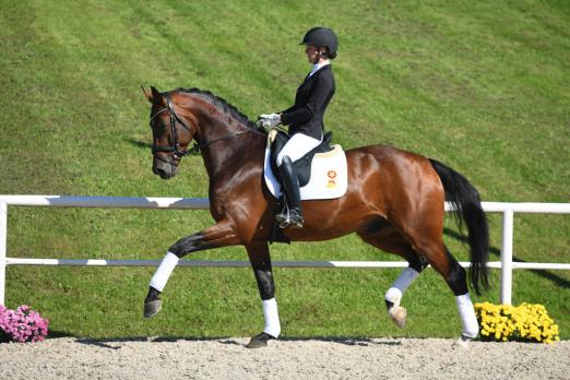 Foto: Benedikt v. BEN BENICIO / QUATERBACK - Fotograf: Hubert Fischer 