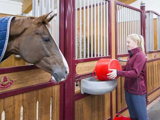 Foto: Reitanlage Blundell - Fotograf: Röwer & Rüb