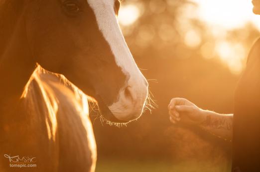 Foto: Weil die Nähe zählt! - Fotograf: Tom Hartig