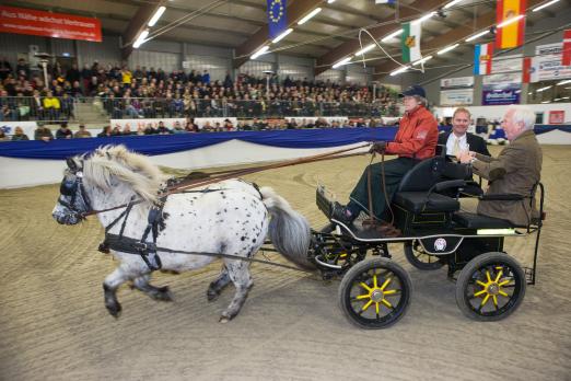 Foto: „Der Tradition treu bleiben“ wollte der neue Auktionator und fuhr gemeinsam mit seinem Vorgänger in der Ponykutsche in die Halle. - Fotograf: Thomas Ix