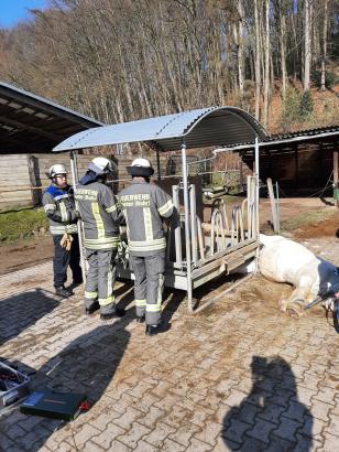 Foto: Pferd hängt in Heuraufe fest - Fotograf: Feuerwehr Wetter (Ruhr)