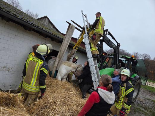 Foto: Mit B-Schläuchen und Trecker wurde das Pferd gesichert - Fotograf: Feuerwehr Datteln