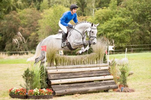 Foto: Das Erfolgskonto dieses im Idelatyp stehenden 6-jährigen Top-Eventers ist mit Platzierungen in allen Disziplinen prall gefüllt. Nr. 21 Cocano, ein Pferd, dessen Potential jederzeit abrufbar ist und zum sofortigen Durchstarten einlädt!