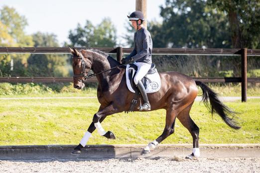 Foto: Adagio - Fotograf: Thomas Ix