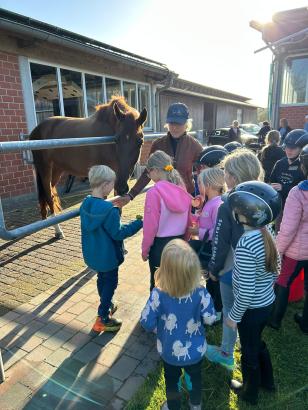 Foto: Stallluft bei der Aktion von Ingrid Klimke schnuppern - Fotograf: Team Klimke