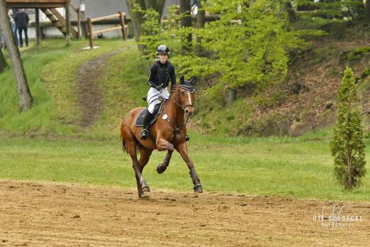 Foto: Anna Katharina Hoff/Cadior, Zweite in der Equine Microtec/ Equistro – VE -Trophy - Fotograf: Privat