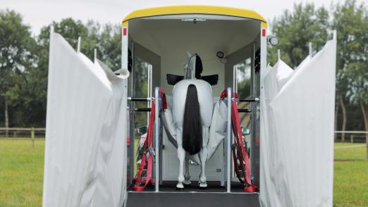 Foto: "stehendes Pferd" im Böckmann Ambulanzanhänger - Fotograf: Böckmann Fahrzeugwerke