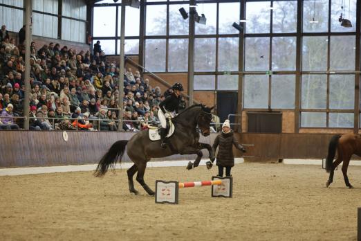Foto: Impression des Trainings über Cavaletti - Fotograf: Photo Rocket aus Elmshorn