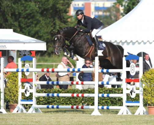 Foto: Champion of the 7-year-old jumping horses - the stallion Connor by Casall - Cor de la Bryere - Fotograf: Holsteiner Verband