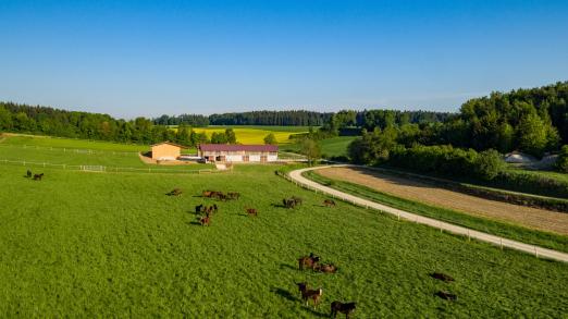 Foto: Zuchthof Wadenspanner - Fotograf: Röwer & Rüb