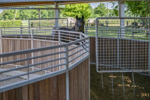 Foto: Eine erweiterte Führanlage - Fotograf: Röwer & Rüb