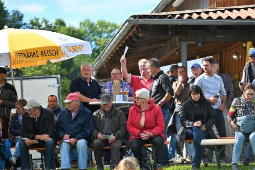 Foto: Impressionen von den Bieterrängen - Fotograf: Hanna Freistedt